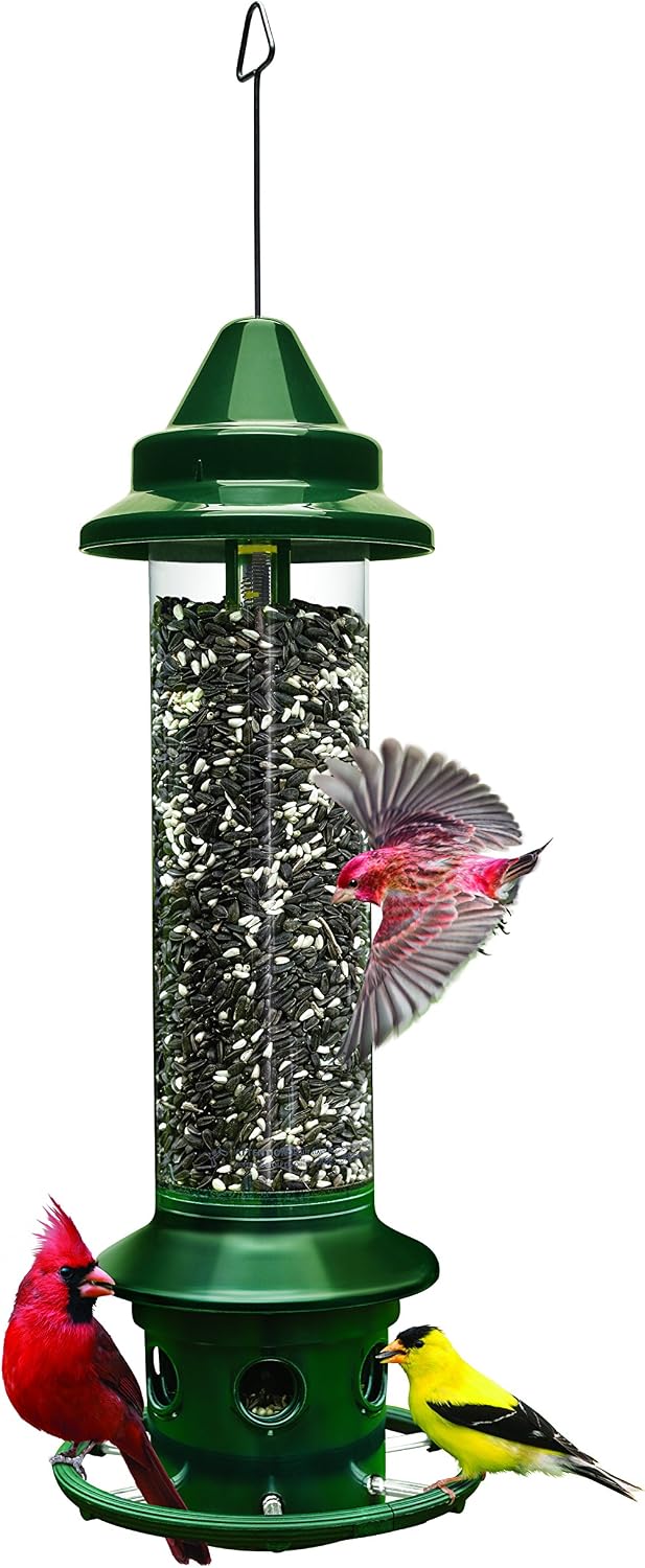 Squirrel Buster Plus Squirrel-proof Bird Feeder w/Cardinal Ring and 6 Feeding Ports