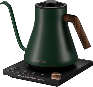 INTASTING Gooseneck Electric Kettle