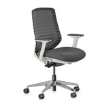 Branch Ergonomic Chair