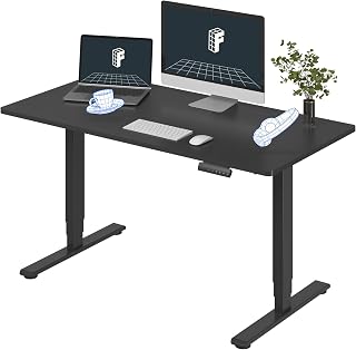 FlexiSpot E6 3-Stage Dual Motor Electric Standing Desk 55x28