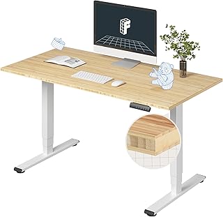 FlexiSpot E6 Bamboo Electric Standing Desk 55x28