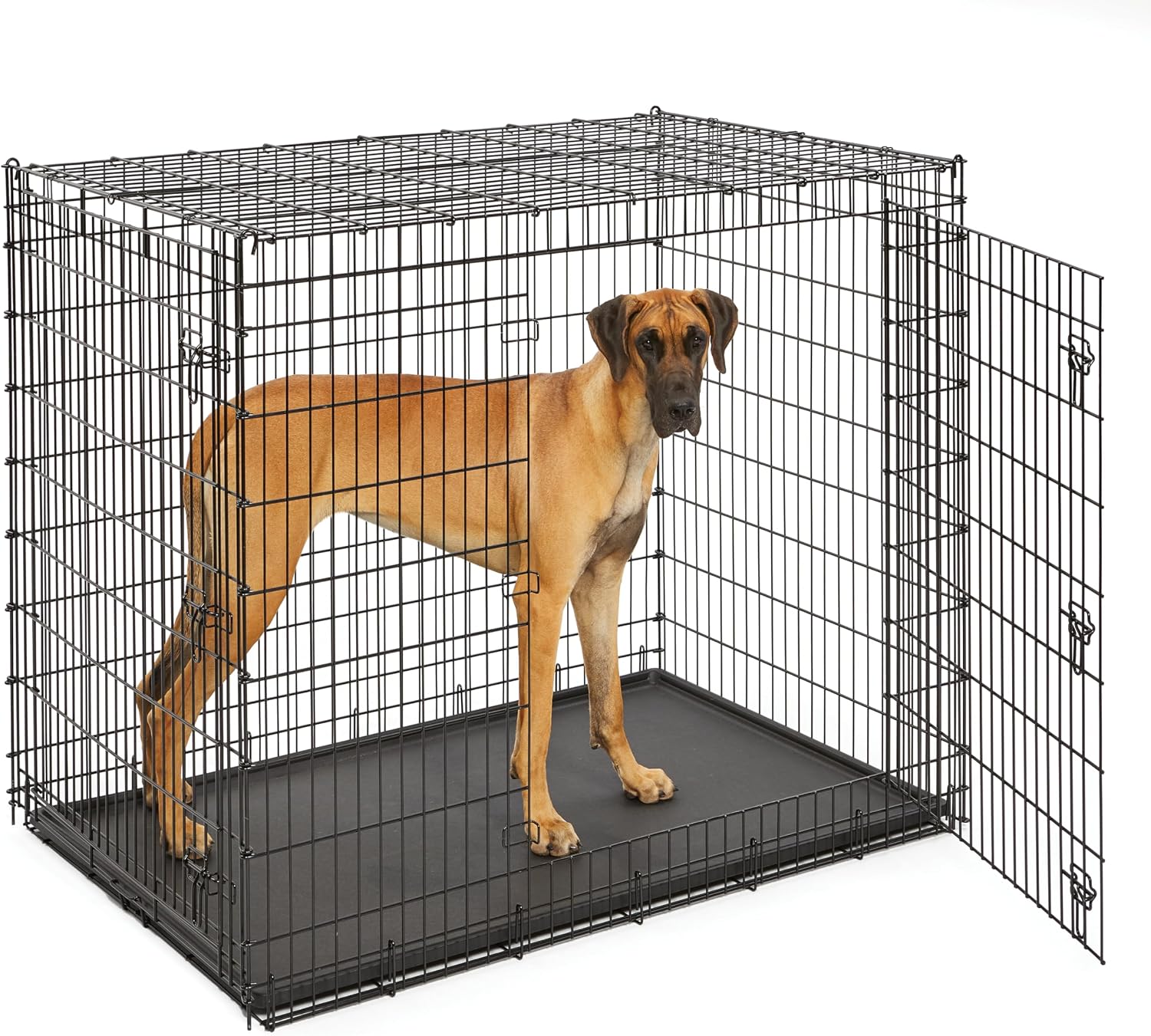 MidWest Solutions 54-Inch Drop Pin Dog Crate for Giant Breeds