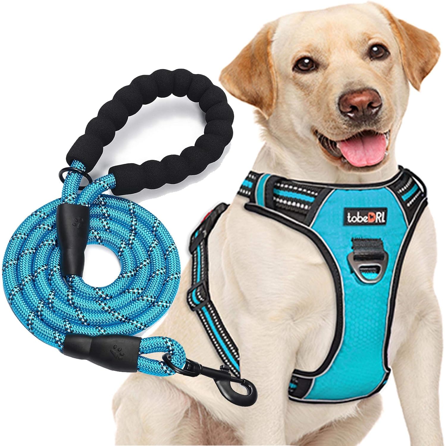 tobeDRI No Pull Dog Harness with Free Leash
