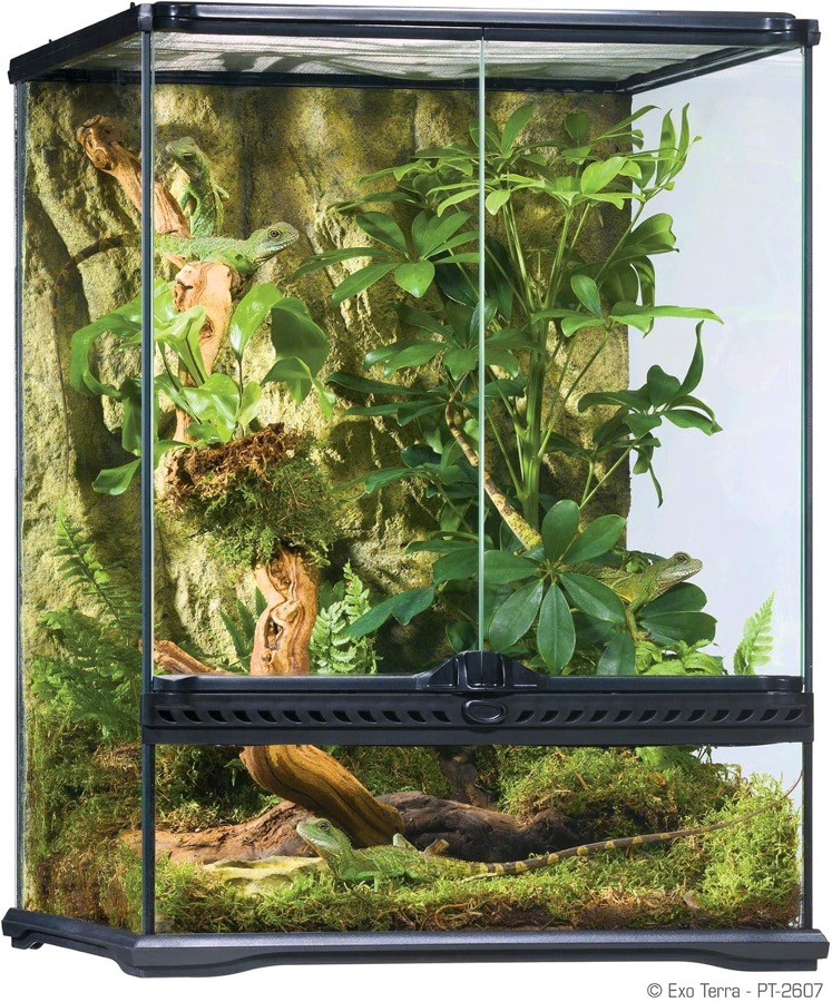 Exo Terra Small Tall Glass Terrarium